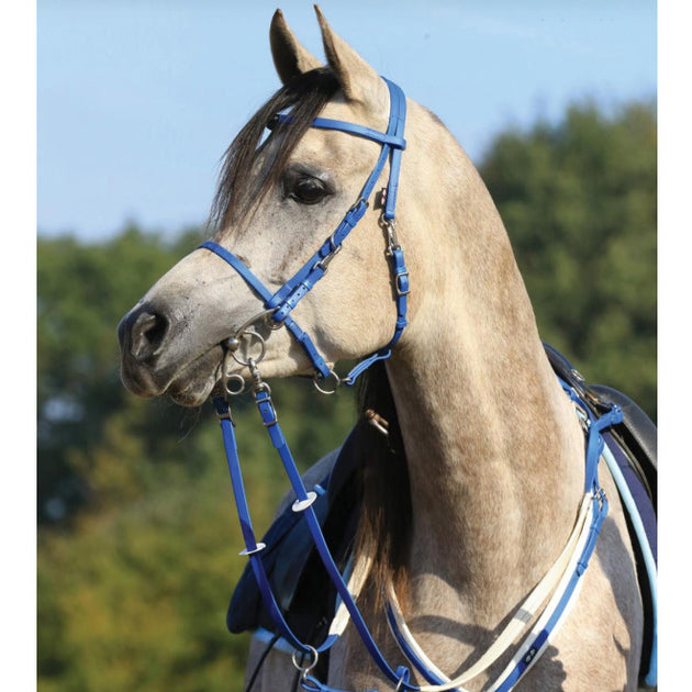 Horse Enhancing C Ring String W/Adjustable Straps