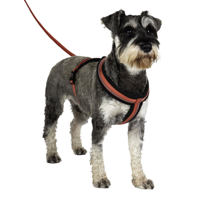 Halti Comfy Dog Harness from The Company of Animals Riding Harness Stuff