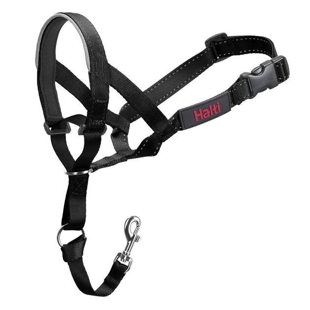 Halti body harness best sale