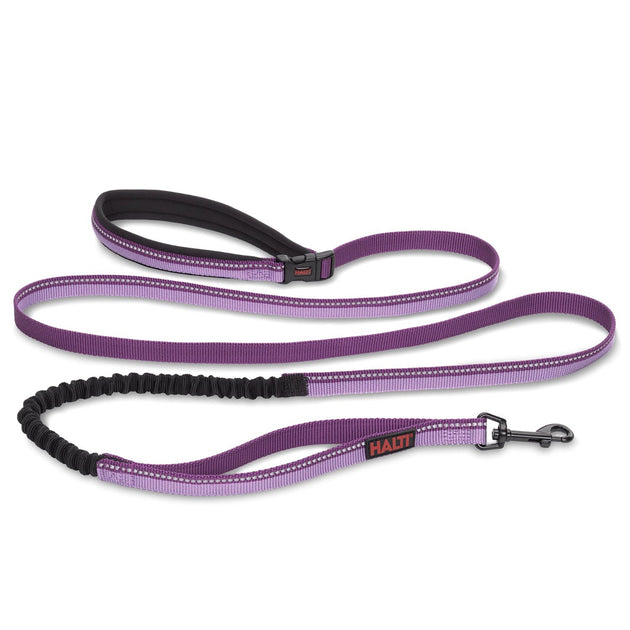 Halti Active Dog Lead from Halti Riding Harness Stuff