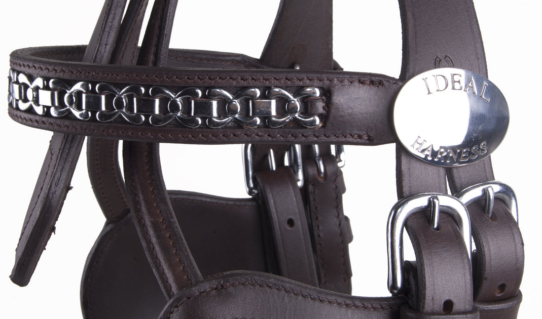 Luxe Patentleather Harness - Ideal Equestrian