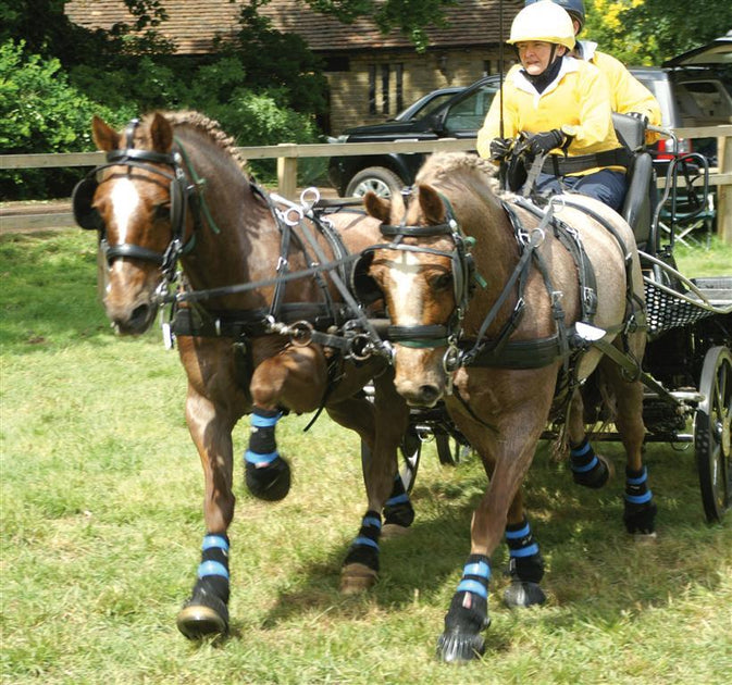 Zilco Classic Pair Horse Driving Harness, Horse Size, Black and Brown -  5644-4 - GOOD APPLE EQUINE