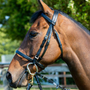 Zilco Padded Pony Racing Bridle with Cavesson