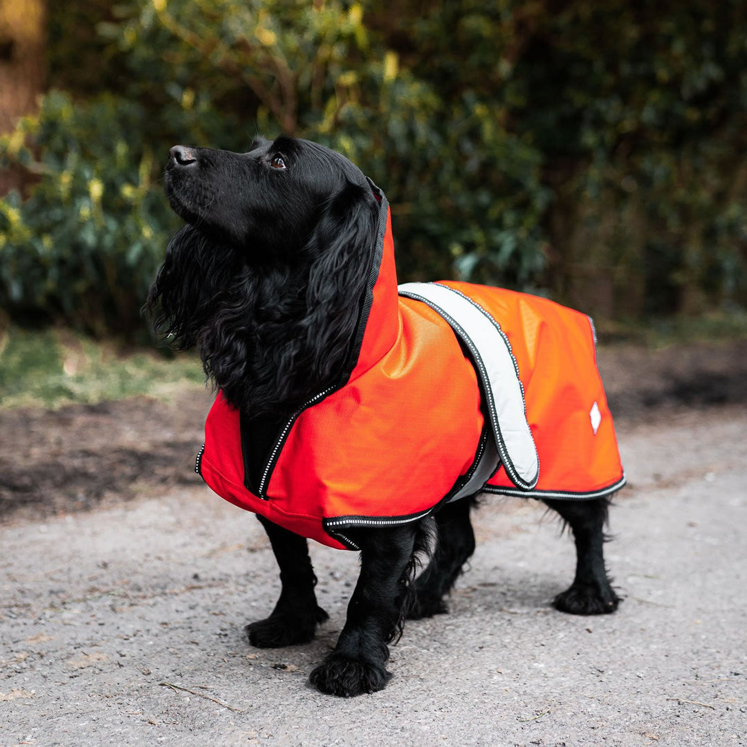 Danish Design Ultimate 2 in 1 Dog Coat High Vis Orange Riding Harness Stuff