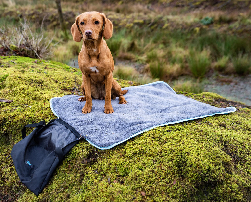 Henry wag on sale raised dog bed