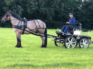 Ideal Driving Harness Heavy Horse Harness