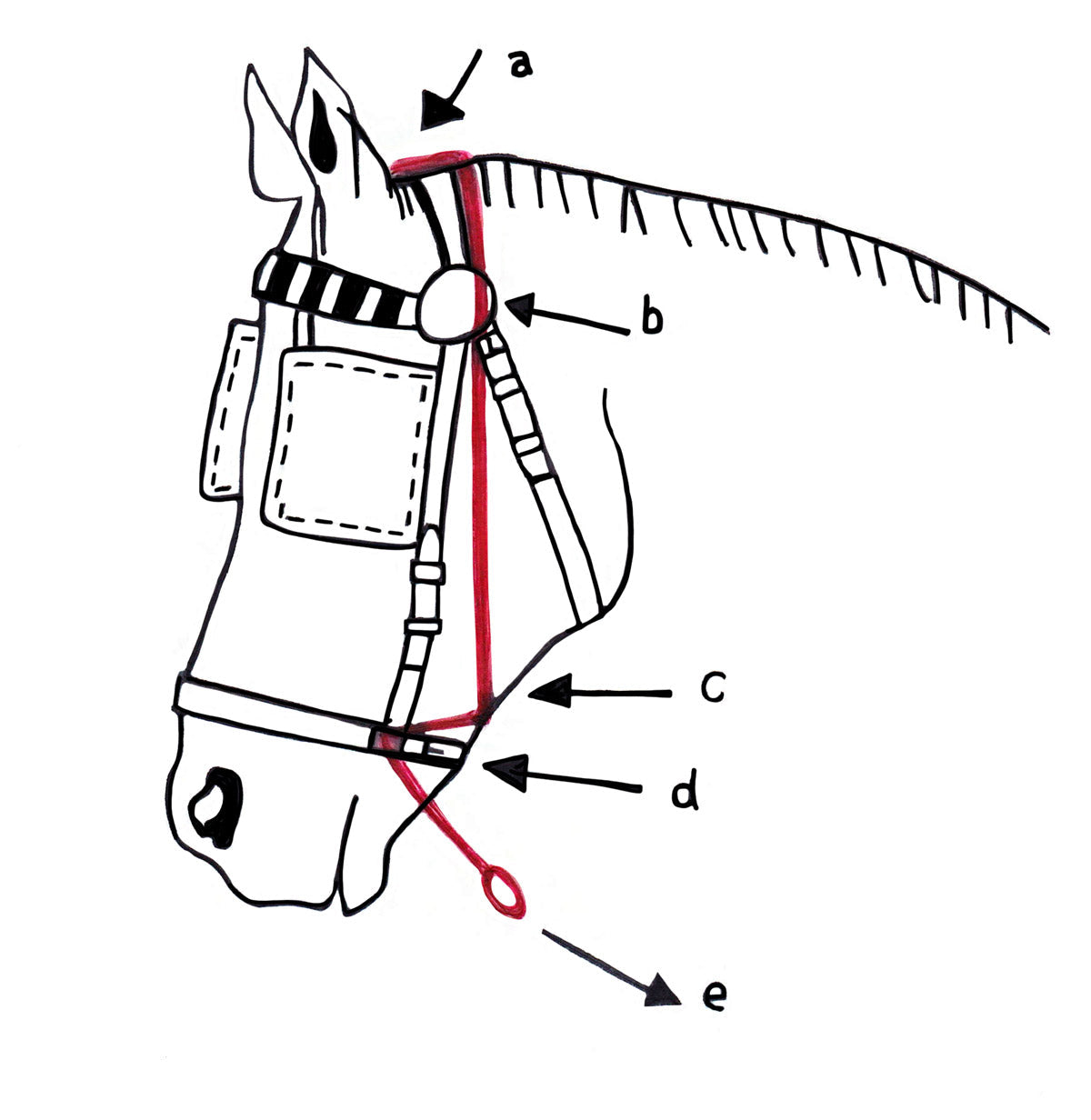 Ideal Bitless Noseband for Driving Bridle – Riding & Harness Stuff