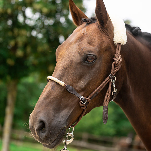 Lami-Cell Lungeing Lami-Cell Lunging Halter