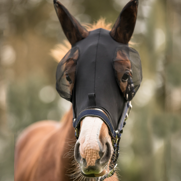 Lami-Cell Fly Mask Lami-Cell Lycra Fly Mask