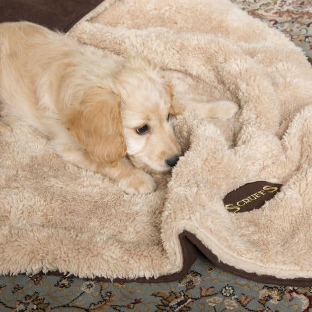 Scruffs Dog Bed Scruffs Snuggle Blanket Dog Bed