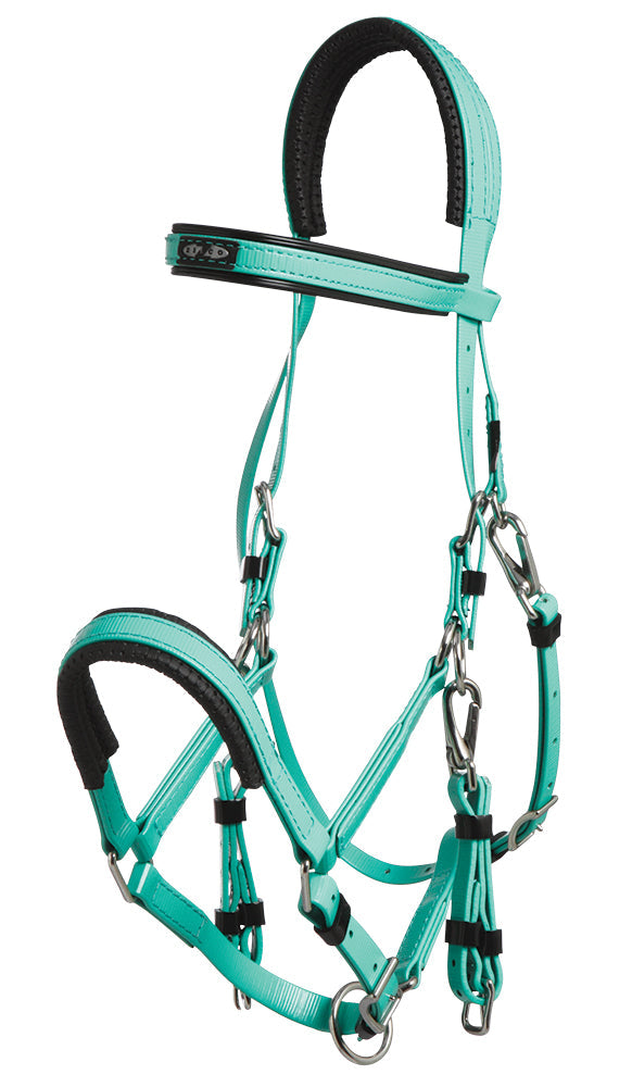 Zilco Bridle Arab / Turquoise Zilco Marathon Endurance Bridle Stainless Steel Fittings