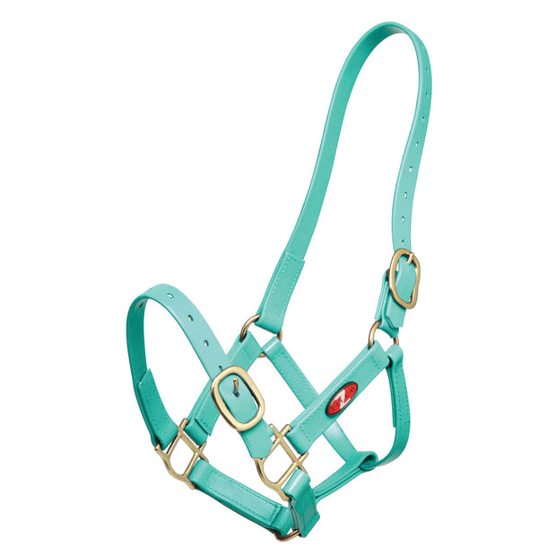 Zilco Headcollar Cob / Turquoise Zilco PN Headcollar 25mm