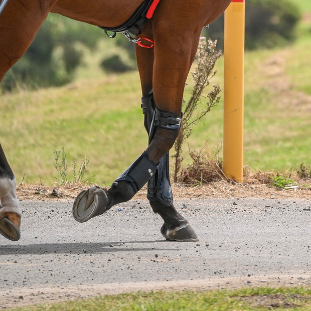 Zilco Horse Boots Slickz Shin Boot - Large