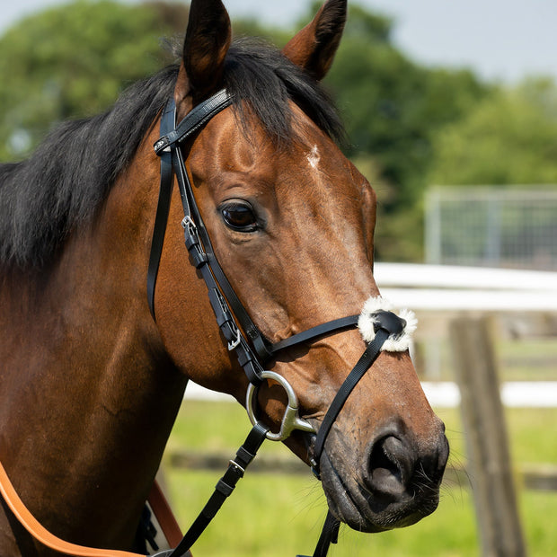 Zilco Bridle Zilco Pony Racing Grackle Noseband