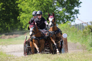 Zilco Driving Harness Zilco SL Shetland Pair Driving Harness With Empathy Collar