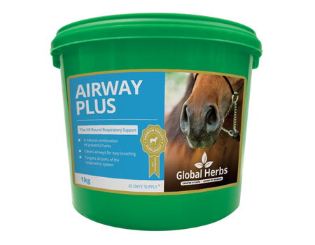 Global Herbs Horse Vitamins & Supplements Global Herbs Airway Plus Powder