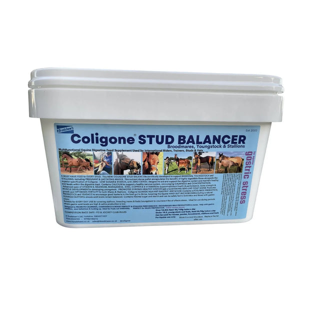 H.Bradshaws Horse Vitamins & Supplements H.Bradshaws Coligone Stud Balancer