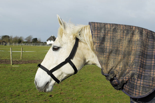 Rhinegold Headcollar Rhinegold (Metal Free) Field Safe Headcollar