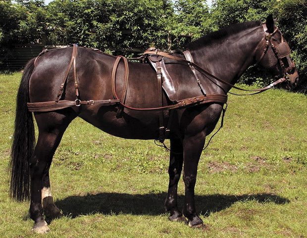 Windsor Driving Harness Brown / Shetland Windsor Leather Oily Harness