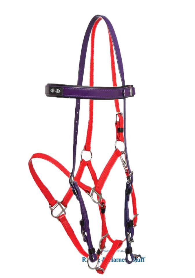 Endurance Bridles - Zilco Horse Bridles | Riding & Harness Stuff